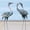Multicolor, variant on Crane Garden Statue Set of 2 Metal Bird Garden Sculpture, 33-37 Inch Outdoor Statue Decor for Yard Patio Lawn Backyard Pool