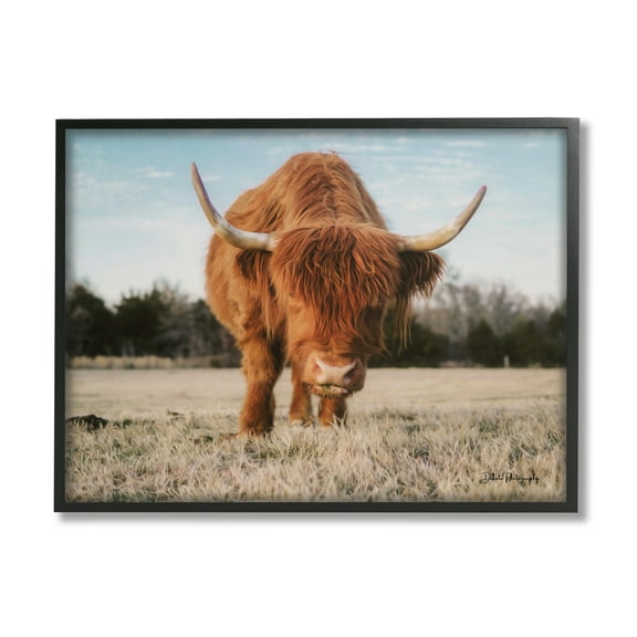 Stupell Farmhouse Highland Cattle Ranch Animals & Insects Photography Black Framed Art Print Wall Art