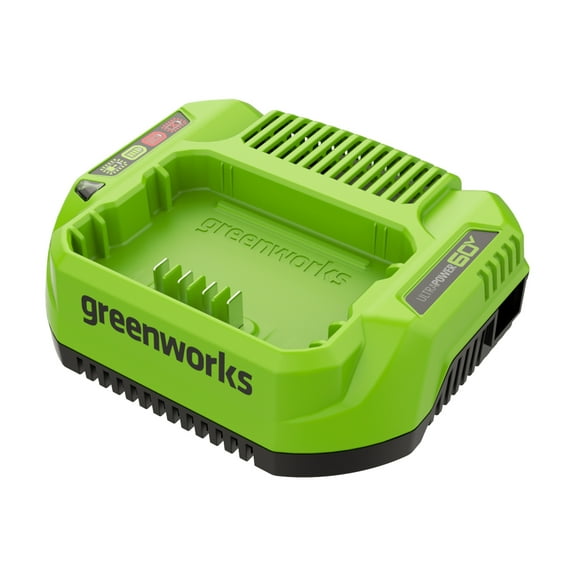 Greenworks 60V 3 Amp Charger 1807702