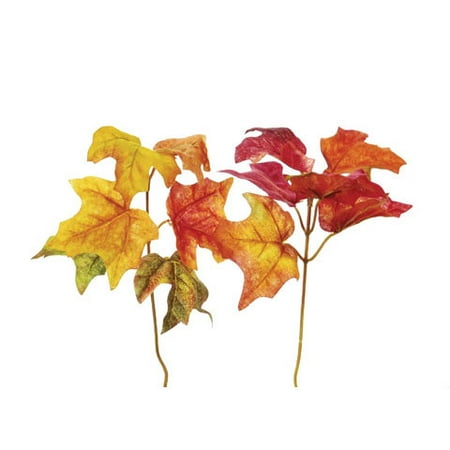 Darice Fall Leaf Picks Maple Leaves 2 Assorted