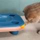 thumbnail image 5 of Pet Cat Food Pot Bowl Toy Tower Track Disc Ball Training Game Board Pet Cat Accent 2 En 1 Guardurnaity PT002592-01, 5 of 6