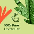 thumbnail image 5 of Plant Therapy Zit Fighter Essential Oil Blend 10 mL (1/3 oz) 100% Pure, Undiluted, Natural Aromatherapy, 5 of 8