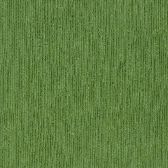 Bazzill Fourz Cardstock 12"X12"-Guacamole/Grasscloth