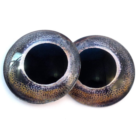 Carp Fish Glass Eyes