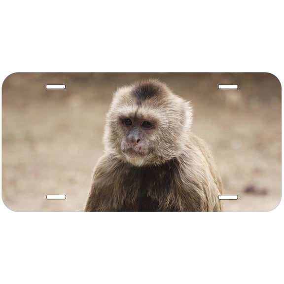 Monkey TAG24 Novelty Car Auto License Plate