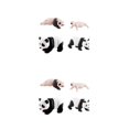 thumbnail image 1 of Ounissouiy Life Cycle Animal Figures Toy 4 Stages Toys  of Panda Science Educational 2piezas estilo C, 1 of 1