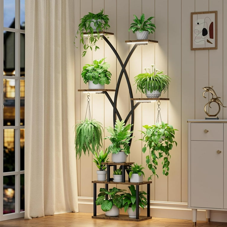 baby monstera deliciosa Monstera Deliciosa 'Thai Constellation' 4''  Watson's Greenhouse