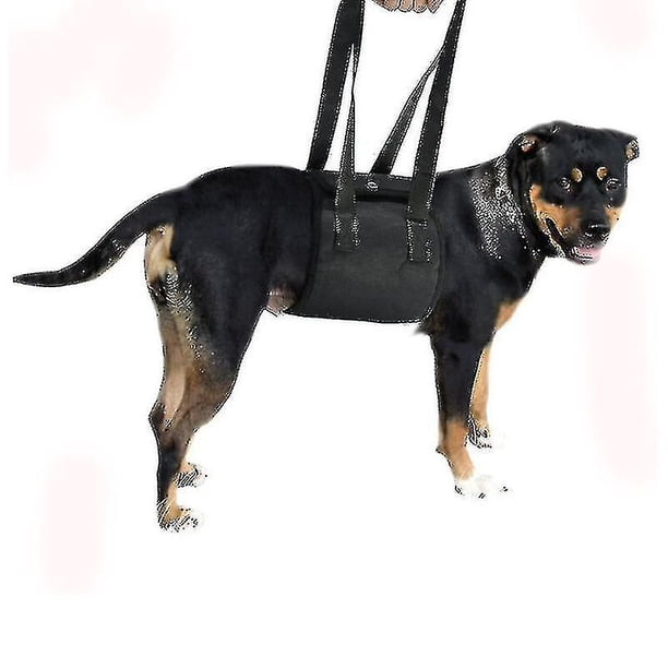 Dog Sling For Rear Legs Helps Elderly Dogs With Reduced Mobility, Dog