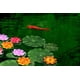 thumbnail image 2 of NAVAdeal Pack de 9 hojas de loto artificiales flotantes de espuma | Adornos de nenúfares, verde | Perfecto para Patio, Koi, estanque de peces, piscina, acuario, hogar, jardín, boda, fiesta, decoración de eventos especiales Ormromra WMPH-1741, 2 of 8
