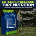 thumbnail image 3 of Supply Solutions 25-7-12 Lawn and Turf Fertilizer 15% Slow Release Nitrogen - Supply Nutrients for Lawn Grass and Garden Plants for Greener Look (25lbs), 3 of 7