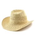 thumbnail image 6 of Hand‑Woven Paper Straw Cowboy Hat Hollow Knit Wide Brim Sun Hat Unisex Outdoor Beach Travel Sun‑Protection Fedora Hat for Men Adults, 6 of 7