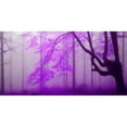 thumbnail image 3 of Palacios, J.A. 24x14 Black Modern Framed Museum Art Print Titled - Lilac forest 808, 3 of 5