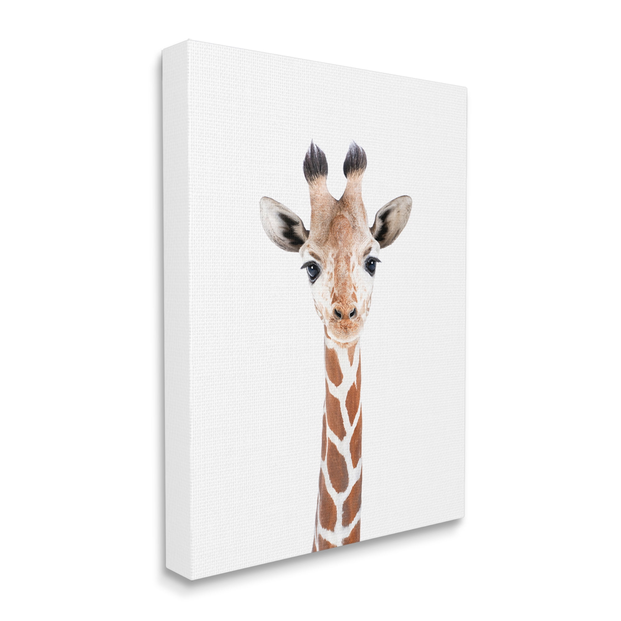 Stupell Industries Giraffe on White Portrait Animals & Insects Painting Gallery Wrapped Canvas Print Wall Art, 30 x 40