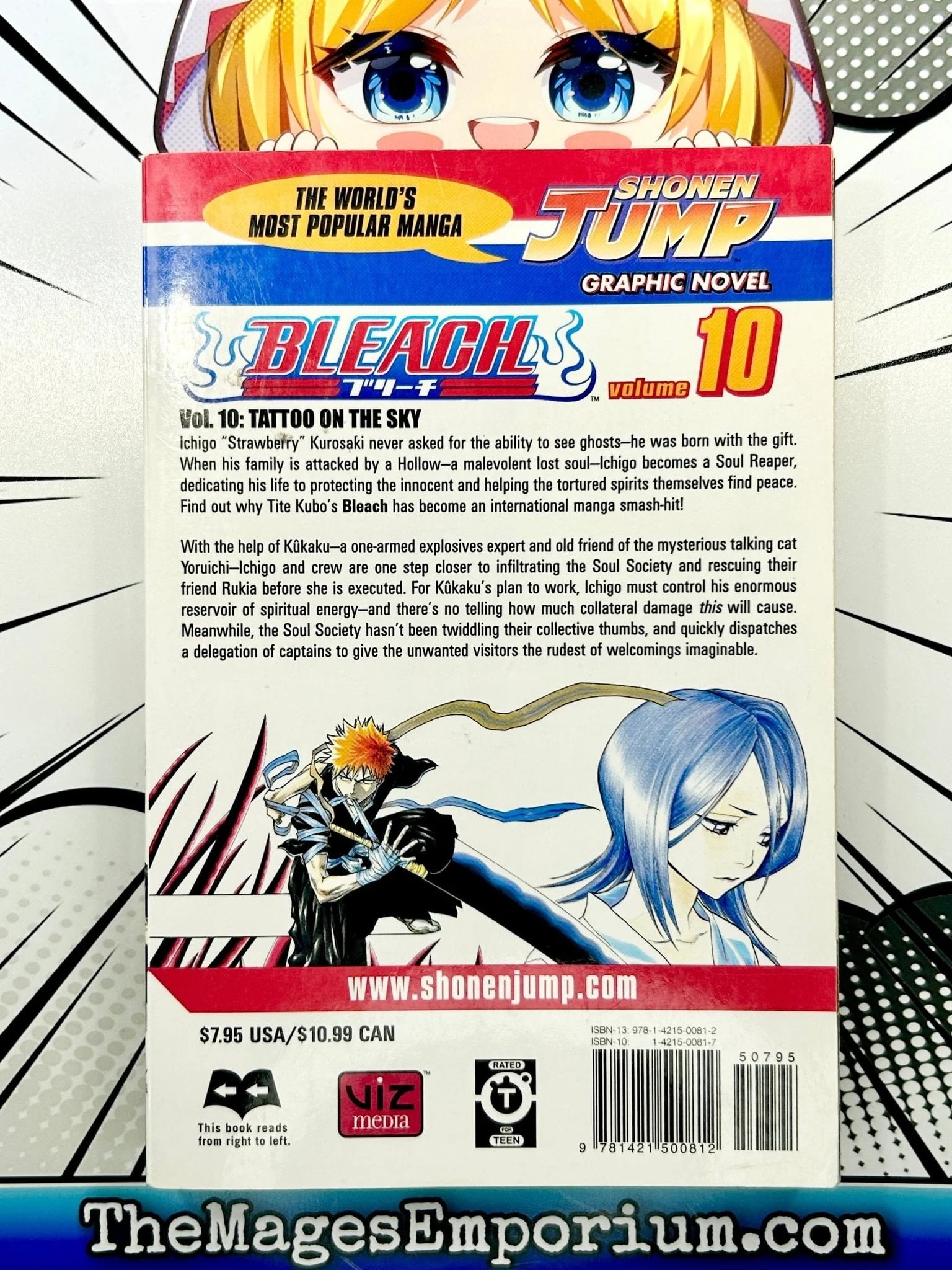Bleach Bleach, Vol. 10: Tattoo on the Sky, Book 10, (Paperback