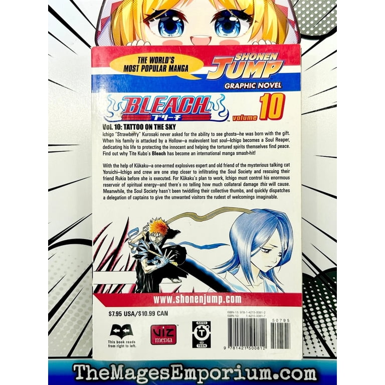 Bleach Bleach, Vol. 10, Book 10, (Paperback) - Walmart.com