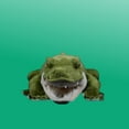 thumbnail image 3 of Realistic Crocodile Stuffed Animal Plushies Lifelike Animal Plush Toys Simulation Animals Super Soft Stuffed Toy, 3 of 7