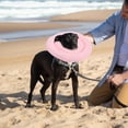thumbnail image 1 of WEUVEB Collar Ajustable Para Recuperación De Mascotas Con Flexible Y Material Multicolor, 1 of 6