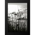 thumbnail image 2 of Berzel, Erin 11x14 Black Modern Framed Museum Art Print Titled - Coastal Grass I, 2 of 5