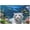 1000 PCS, variant on 1000 Piece White Tiger Aquarium Puzzle for Adults, 30x20 in – DIY Home Decor, Interactive Family Fun, Hard Challenging for Adults
