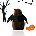 thumbnail image 3 of Halloween Bat Costume pour Chats Chiens Ailes Noir m, 3 of 6