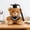 Brown, variant on Kumdkdwn Graduation Teddy Bear, 5.9in Commemorative Graduation Toy, Ceremony Gift, with Cap & Gown, Soft Plush, for Girlfriend, Valentine's, Birthday, Keepsake