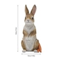 thumbnail image 3 of Easter Bunny Garden Figurine, Resin Courtyard Landscaping Decor, Cute Rabbit Outdoor Statue, Weatherproof Craft Ornament for Yard Patio Lawn Home Garden Festival Decor, 3 of 6