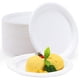 thumbnail image 1 of Paquete de 100 platos de papel desechables, platos de postre compostables ecológicos, platos biodegradables de caña de azúcar, 1 of 5