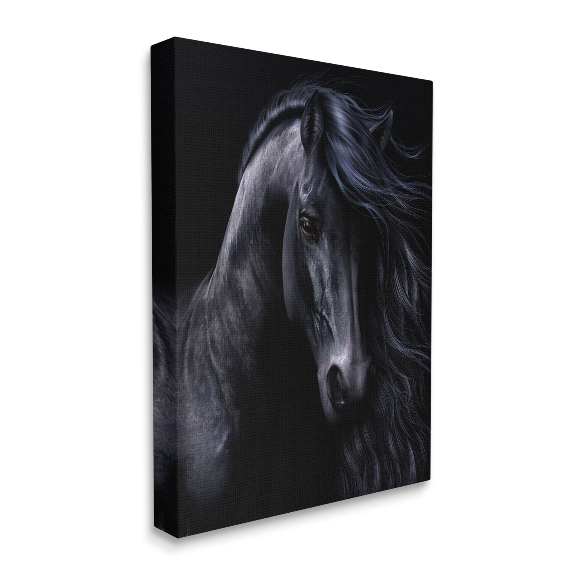 Stupell Industries Black Stallion Portrait Animals & Insects Photography Gallery Wrapped Canvas Art Print Wall Art, 30 x 40
