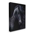 thumbnail image 4 of Stupell Industries Black Stallion Portrait Animals & Insects Photography Gallery Wrapped Canvas Art Print Wall Art, 16 x 20, 4 of 8
