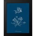 thumbnail image 2 of Wild Apple Portfolio 19x24 Black Modern Framed Museum Art Print Titled - Delicate Coral IV, 2 of 5