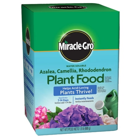 Miracle-Gro Water Soluble Azalea, Camellia, Rhododendron Plant Food, 1.5 lbs