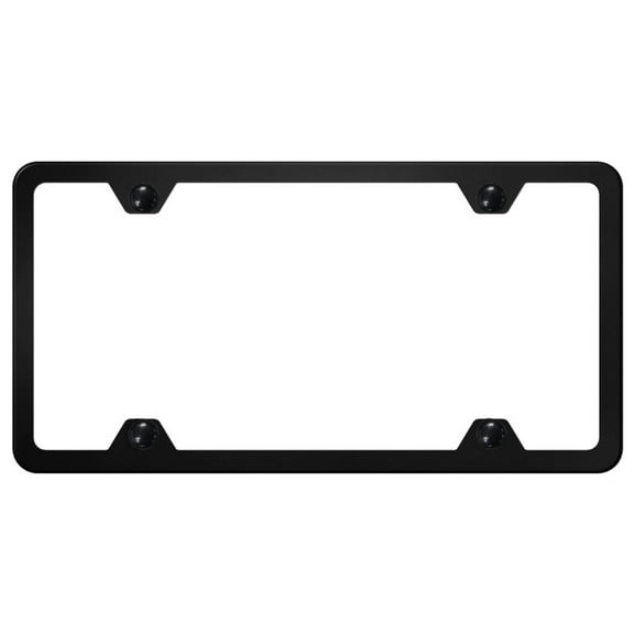 Plain Stainless Steel License Plate Frame (Black)