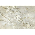 thumbnail image 2 of Swatland, Sally 24x17 Gold Ornate Wood Framed with Double Matting Museum Art Print Titled - Soft Spring Blossoms, 2 of 4