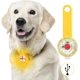 thumbnail image 1 of Luz de seguridad LED intermitente para perros (amarilla) y gatos - Lámpara LED recargable por USB para perros, 3 modos de parpadeo, luz de seguridad impermeable para mascotas, 1 of 5