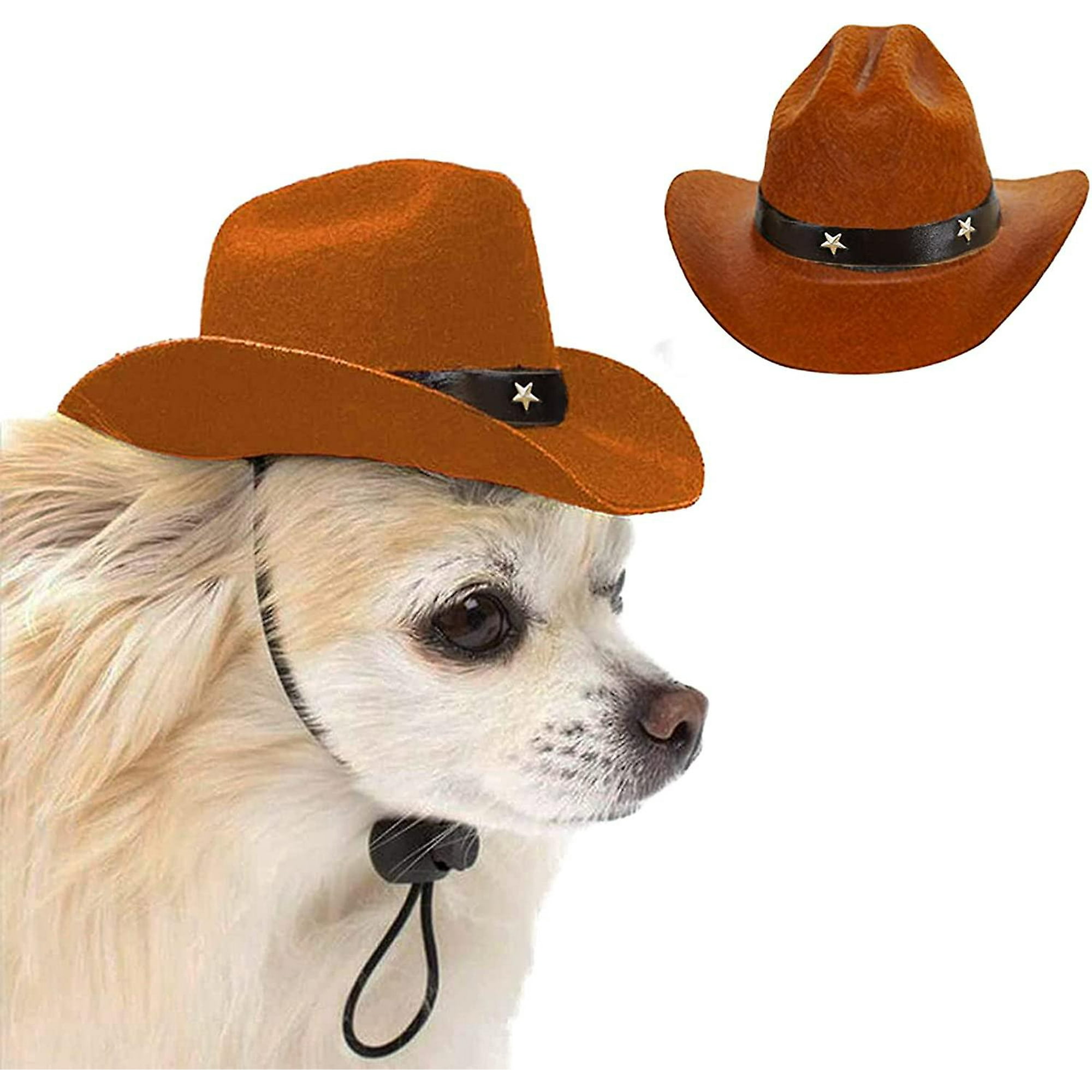 Dog with cowboy hat online