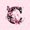 Pink C, variant on Erosebridal Floral Monogrammed H Twin Quilt Set, Pink Damask Twin Coverlet Set, 2-Piece