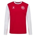 thumbnail image 2 of Men's Red Denmark National Team Block Long Sleeve T-Shirt, 2 of 3