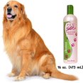 thumbnail image 6 of PET SILK, Inc. Oatmeal Shampoo 16 Oz, 6 of 6