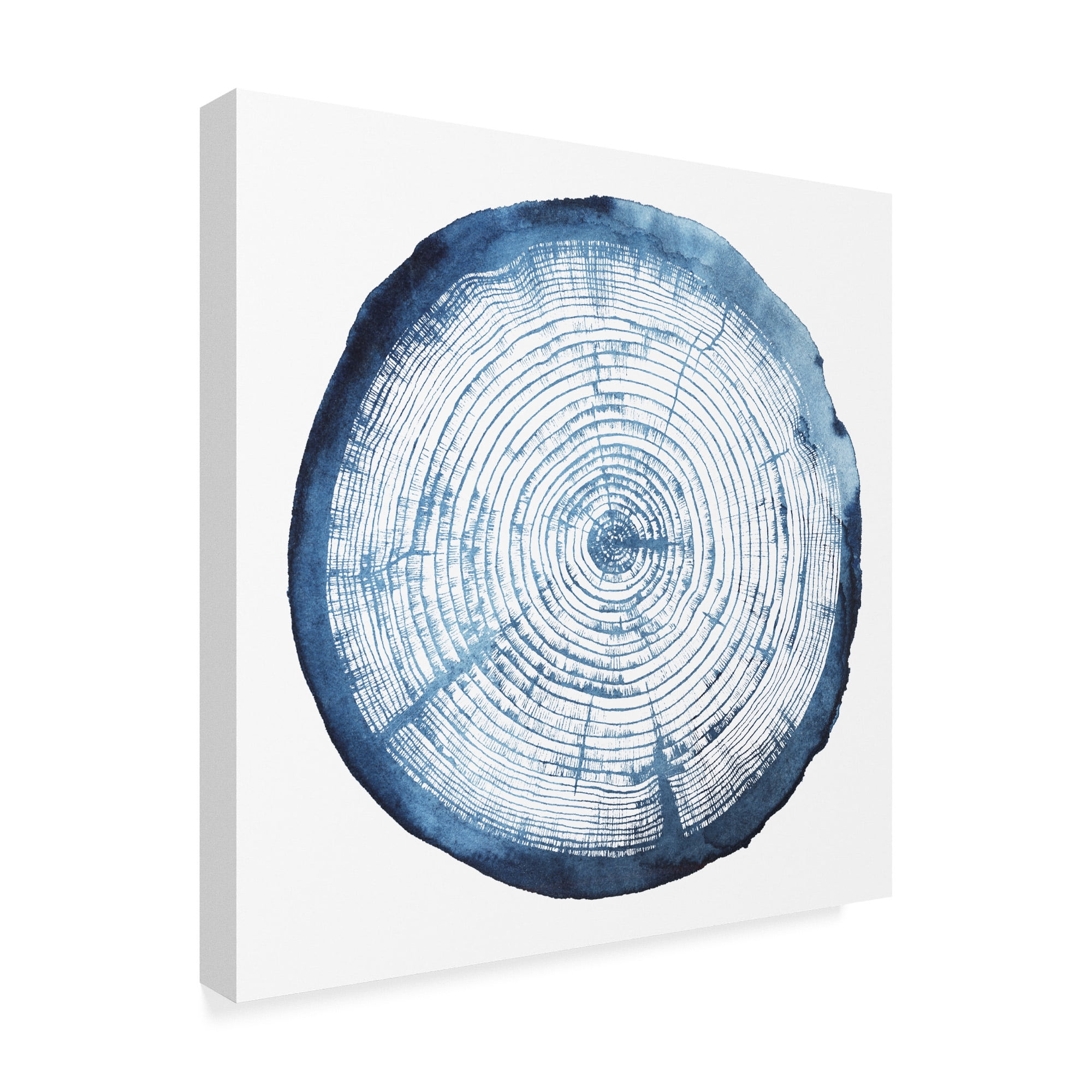 Trademark Fine Art 'Tree Ring Overlay I' Canvas Art by Grace Popp