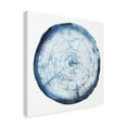 thumbnail image 2 of Trademark Fine Art 'Tree Ring Overlay I' Canvas Art by Grace Popp, 2 of 4