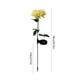 thumbnail image 5 of Lámpara solar LED de crisantemo para jardín, iluminación exterior con flores artificiales, lámpara decorativa floral para jardín, iluminación exterior, luces decorativas para jardín, luces, 5 of 8