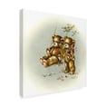 thumbnail image 2 of Trademark Fine Art 'Teddy Bears Picnic 2' Canvas Art by Peggy Harris, 2 of 3