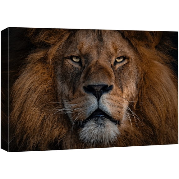 wall26 Canvas Print Wall Art Close Up Detail African Safari Lion Portrait Nature Animals Photography Realism Rustic Scenic Landscape Wilderness Zen Colorful for Living Room, Bedroom, Office - 32"