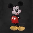 thumbnail image 3 of Mickey Mouse Unisex T-Shirt: Stance (Large), 3 of 4
