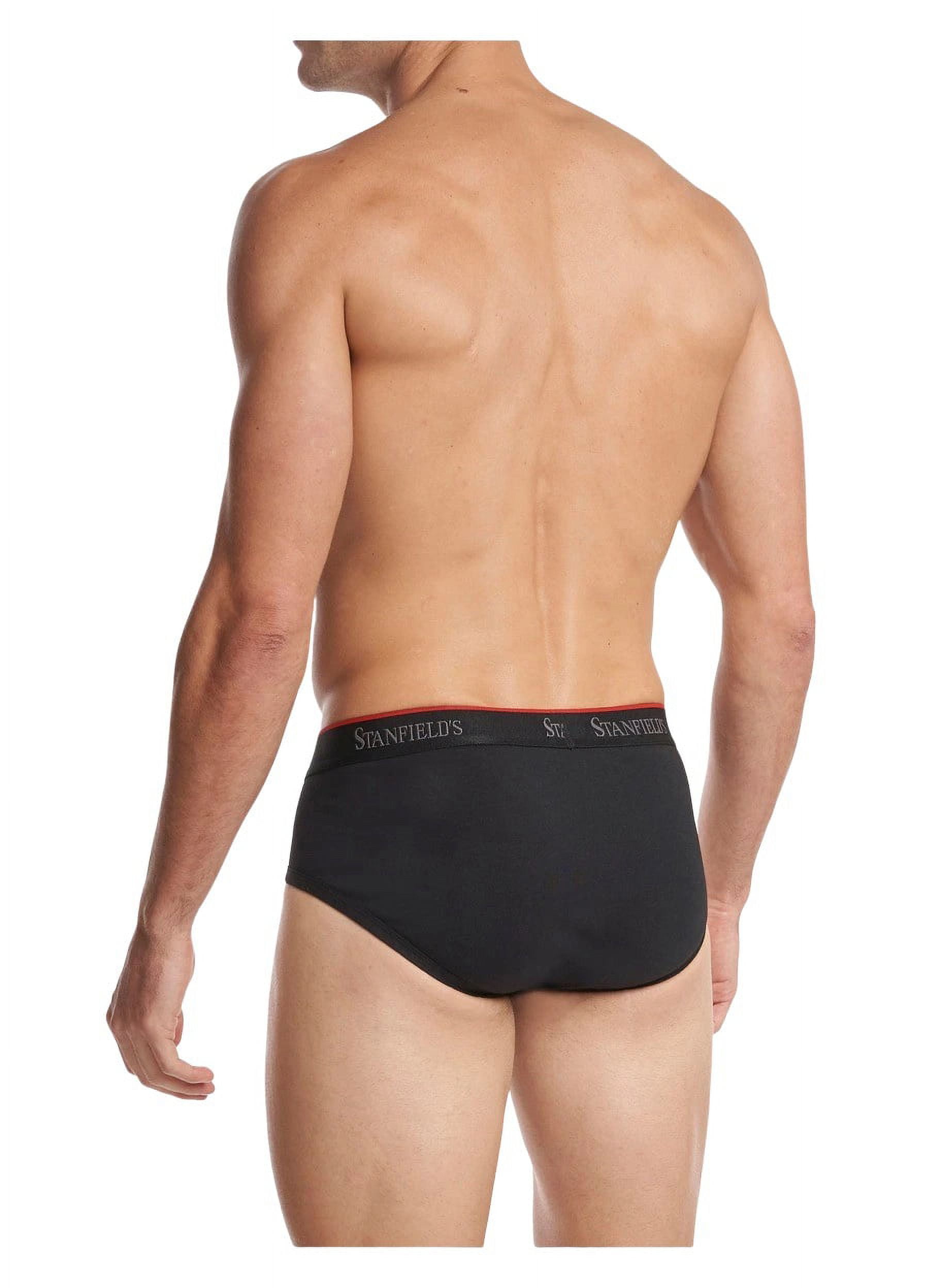 Stanfield's Men's Cotton Stretch Underwear Briefs -3 Pack