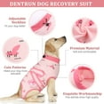 thumbnail image 3 of DENTRUN Dog Surgery Recovery Suit, Dog Onesie After Surgery Breathable Abdominal Wound Skin Diseases Protector, Cone Collar Alternative, Anti Licking Professional Surgical Recovery Costume, 3 of 7