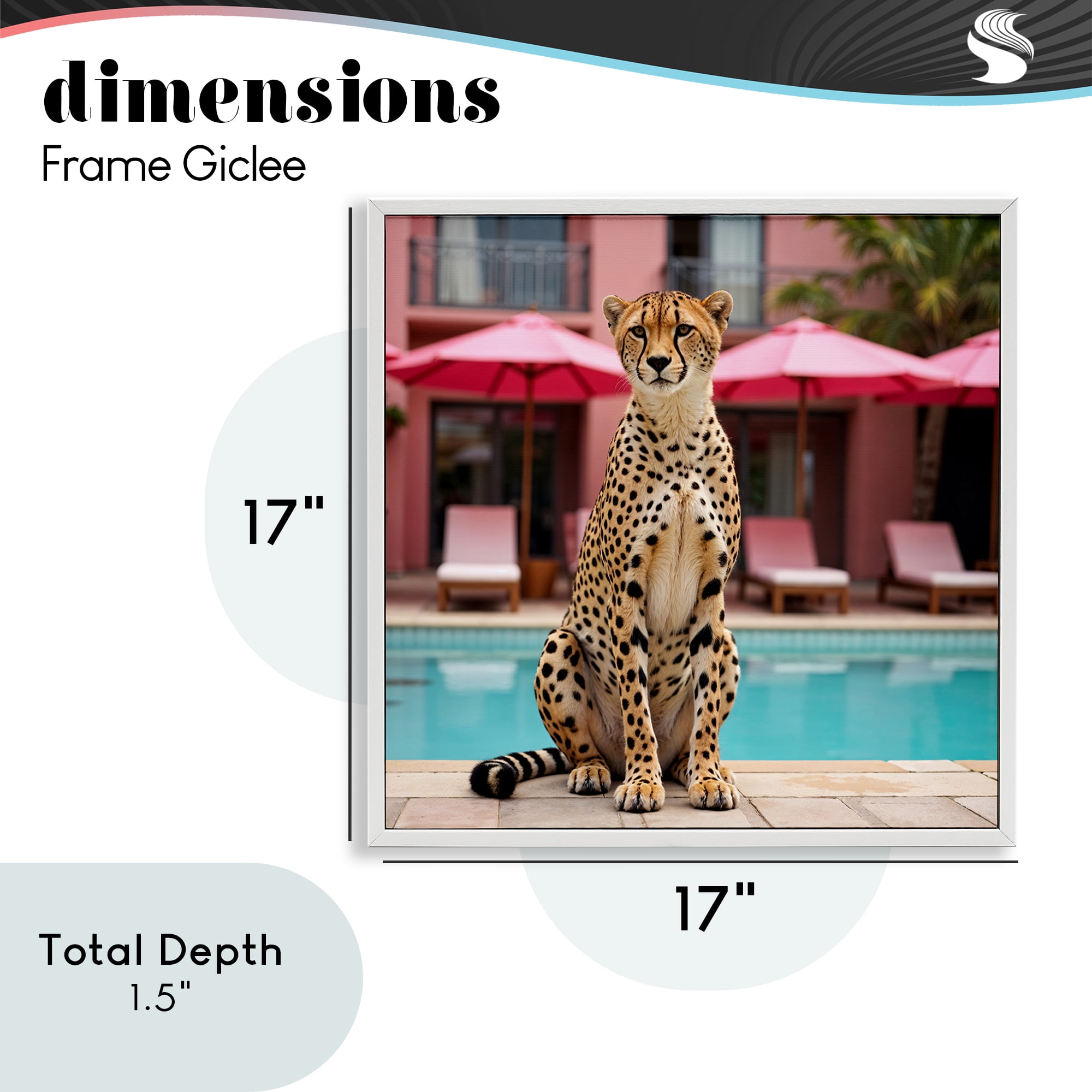 Cheetah Posed at Poolside White Framed Giclee Art, design by Lettered and Lined