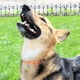 thumbnail image 4 of Collar - Negro - Mediano - Cuello Snickers original, 4 of 5