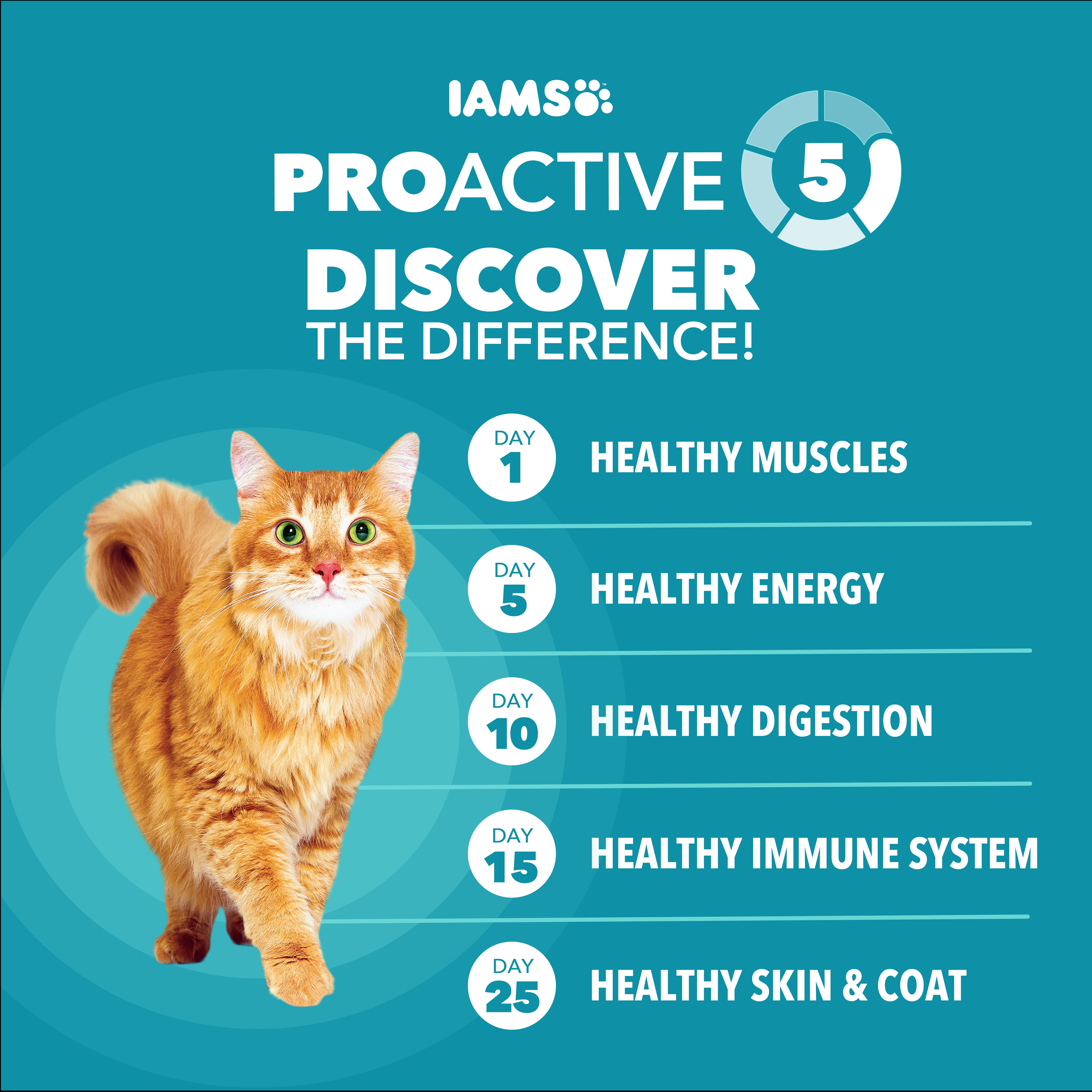 IAMS Proactive Health Indoor Weight & Hairball Care Adult Dry Cat Food with Salmon, 22 lb.