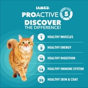 IAMS Proactive Health Indoor Adult Cat Food with Salmon for Weight & Hairball Care, 22 lb